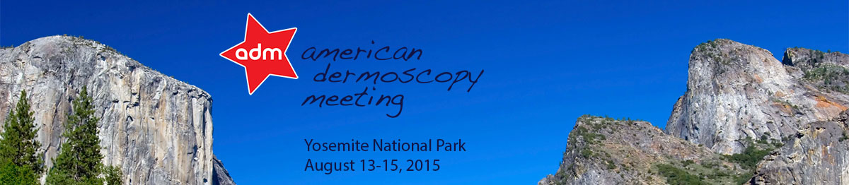 American Dermoscopy Meeting